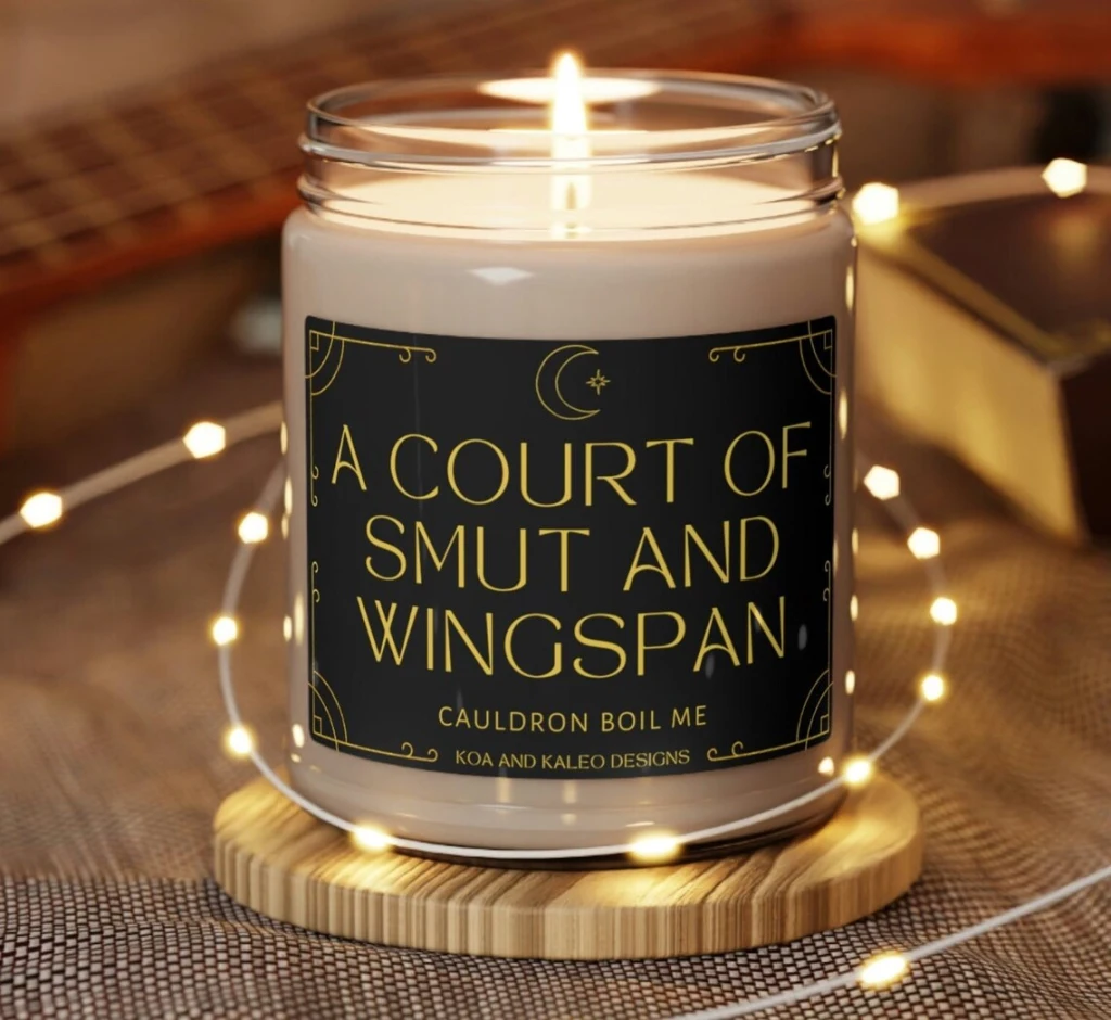 Funny Acotar Candle, Acotar fan gift, acomaf, A court of thorns and roses merch, Velaris Candle, Book Lover Candle, Literary Book Candle; gift ideas for ACOTAR by Sarah J Maas lovers