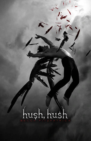 Hush, Hush (Hush, Hush, #1) by Becca Fitzpatrick romance book cover; best book boyfriends of all time book blog